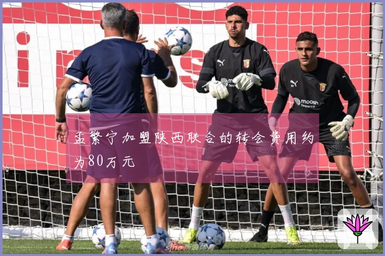 孟繁宁加盟陕西联合的转会费用约为80万元